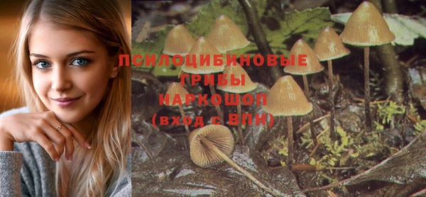 МДПВ Алексеевка