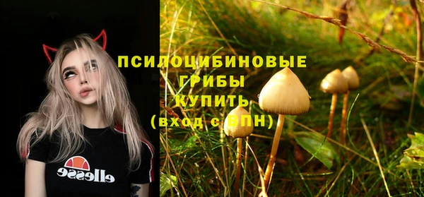 соль ск Алзамай