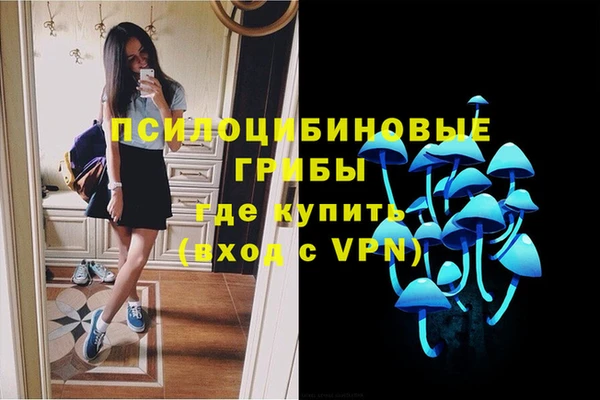 МДПВ Алексеевка
