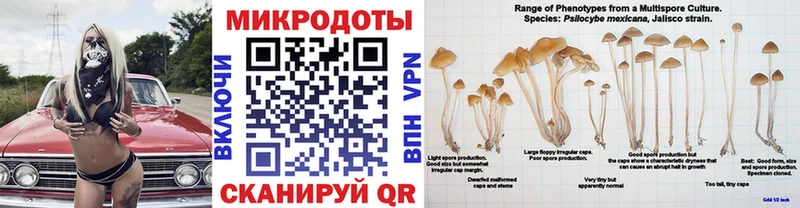 Псилоцибиновые грибы мицелий  Апрелевка 